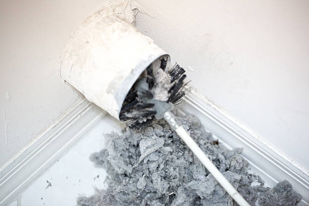 Best Home Air Vent Cleaning  in Mountain Green, UT